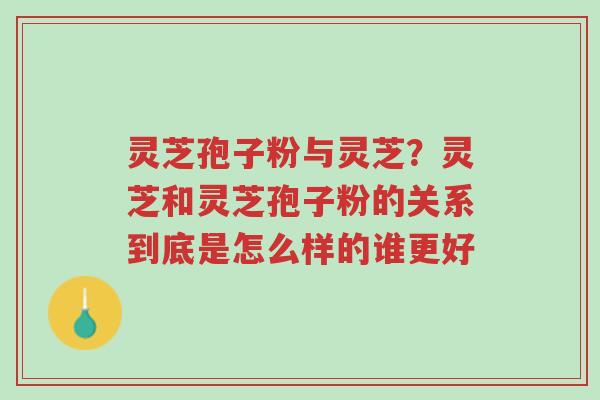 灵芝孢子粉与灵芝?灵芝和灵芝孢子粉的关系到底是怎么样的谁更好-第1张图片-超越 灵芝孢子粉与灵芝?灵芝和灵芝孢子粉的关系到底是怎么样的谁更好-第1张图片-超越