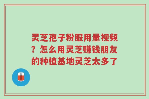 灵芝孢子粉服用量视频？怎么用灵芝赚钱朋友的种植基地灵芝太多了-第1张图片-超越