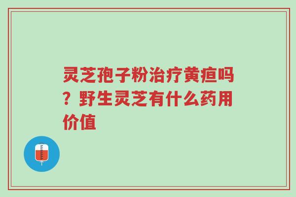 灵芝孢子粉治疗黄疸吗?野生灵芝有什么药用价值-第1张图片-超越 灵芝孢子粉治疗黄疸吗?野生灵芝有什么药用价值-第1张图片-超越