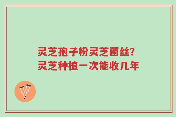 灵芝孢子粉灵芝菌丝?灵芝种植一次能收几年-第1张图片-超越 灵芝孢子粉灵芝菌丝?灵芝种植一次能收几年-第1张图片-超越