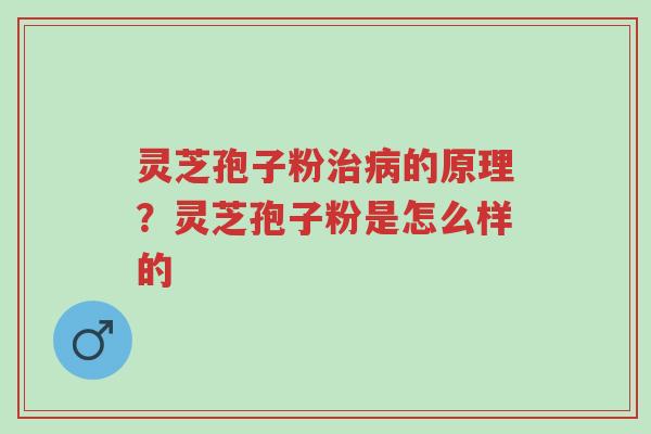 灵芝孢子粉治病的原理?灵芝孢子粉是怎么样的-第1张图片-超越 灵芝孢子粉治病的原理?灵芝孢子粉是怎么样的-第1张图片-超越