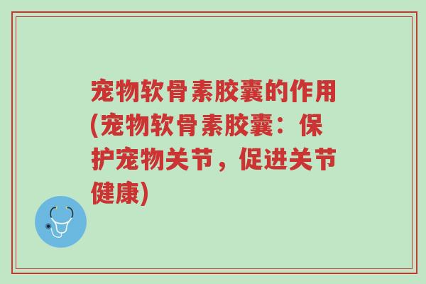 宠物软骨素胶囊的作用(宠物软骨素胶囊:保护宠物关节,促进关节健康)-第1张图片-超越 宠物软骨素胶囊的作用(宠物软骨素胶囊:保护宠物关节,促进关节健康)-第1张图片-超越