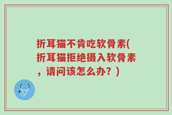 折耳猫不肯吃软骨素(折耳猫拒绝摄入软骨素,请问该怎么办?)-第1张图片-超越 折耳猫不肯吃软骨素(折耳猫拒绝摄入软骨素,请问该怎么办?)-第1张图片-超越