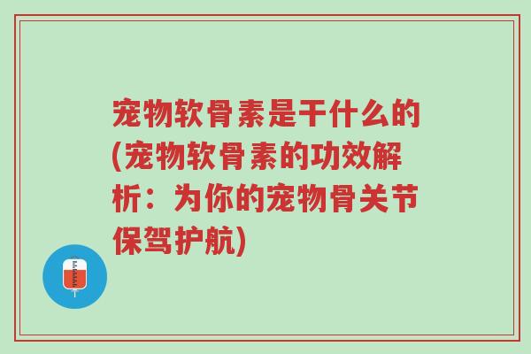宠物软骨素是干什么的(宠物软骨素的功效解析:为你的宠物骨关节保驾护航)-第1张图片-超越 宠物软骨素是干什么的(宠物软骨素的功效解析:为你的宠物骨关节保驾护航)-第1张图片-超越