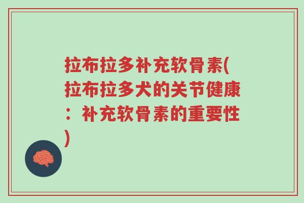拉布拉多补充软骨素(拉布拉多犬的关节健康:补充软骨素的重要性)-第1张图片-超越 拉布拉多补充软骨素(拉布拉多犬的关节健康:补充软骨素的重要性)-第1张图片-超越