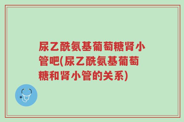 尿乙酰氨基葡萄糖肾小管吧(尿乙酰氨基葡萄糖和肾小管的关系)-第1张图片-超越 尿乙酰氨基葡萄糖肾小管吧(尿乙酰氨基葡萄糖和肾小管的关系)-第1张图片-超越
