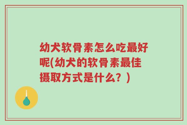 幼犬软骨素怎么吃最好呢(幼犬的软骨素最佳摄取方式是什么?)-第1张图片-超越 幼犬软骨素怎么吃最好呢(幼犬的软骨素最佳摄取方式是什么?)-第1张图片-超越