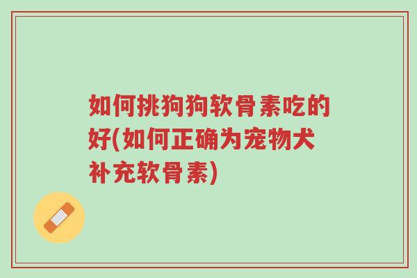 如何挑狗狗软骨素吃的好(如何正确为宠物犬补充软骨素)-第1张图片-超越 如何挑狗狗软骨素吃的好(如何正确为宠物犬补充软骨素)-第1张图片-超越