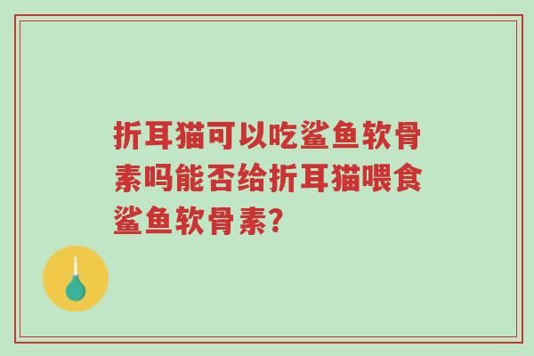 折耳猫可以吃鲨鱼软骨素吗能否给折耳猫喂食鲨鱼软骨素?-第1张图片-超越 折耳猫可以吃鲨鱼软骨素吗能否给折耳猫喂食鲨鱼软骨素?-第1张图片-超越