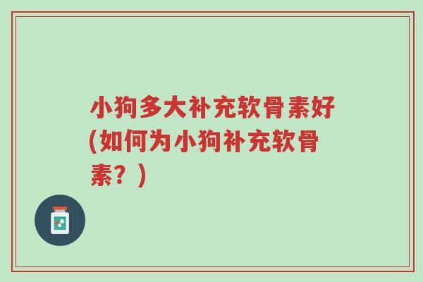 小狗多大补充软骨素好(如何为小狗补充软骨素?)-第1张图片-超越 小狗多大补充软骨素好(如何为小狗补充软骨素?)-第1张图片-超越