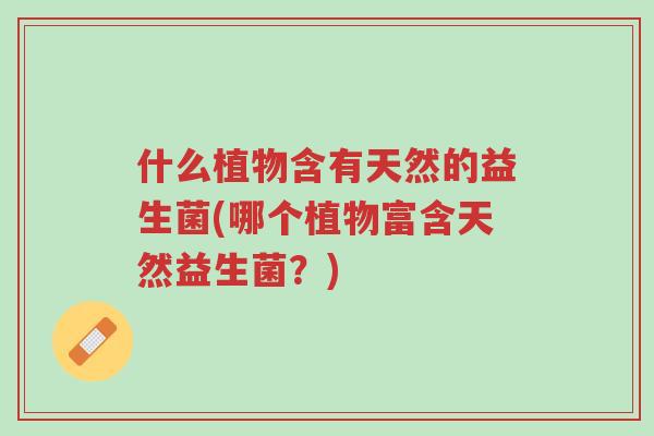 什么植物含有天然的益生菌(哪个植物富含天然益生菌?)-第1张图片-超越 什么植物含有天然的益生菌(哪个植物富含天然益生菌?)-第1张图片-超越