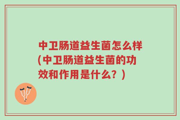 中卫肠道益生菌怎么样(中卫肠道益生菌的功效和作用是什么?)-第1张图片-超越 中卫肠道益生菌怎么样(中卫肠道益生菌的功效和作用是什么?)-第1张图片-超越