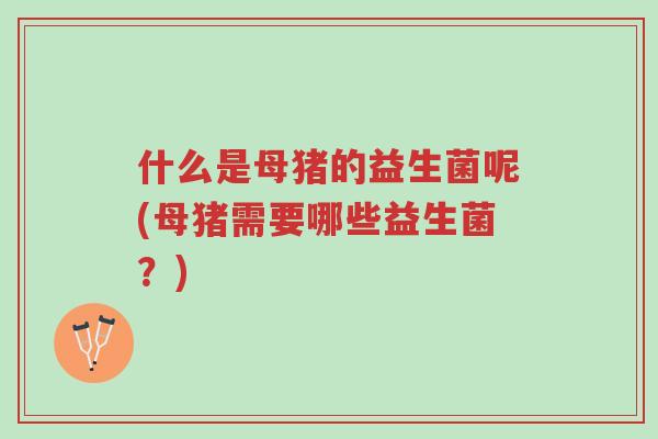 什么是母猪的益生菌呢(母猪需要哪些益生菌?)-第1张图片-超越 什么是母猪的益生菌呢(母猪需要哪些益生菌?)-第1张图片-超越