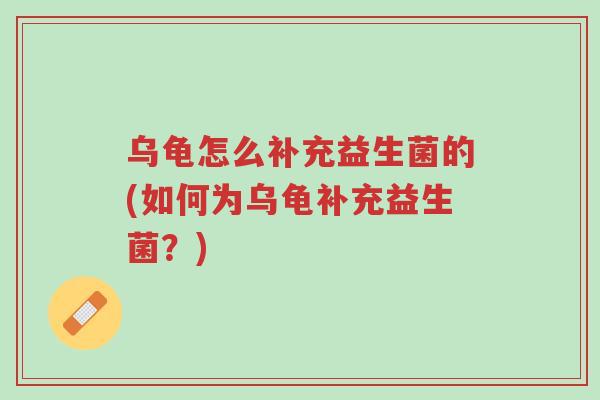 乌龟怎么补充益生菌的(如何为乌龟补充益生菌?)-第1张图片-超越 乌龟怎么补充益生菌的(如何为乌龟补充益生菌?)-第1张图片-超越