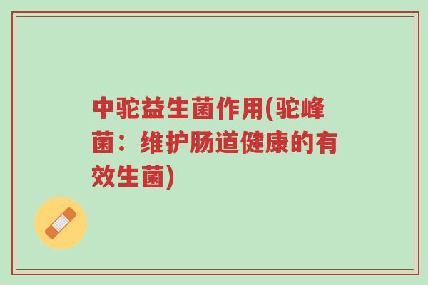 中驼益生菌作用(驼峰菌:维护肠道健康的有效生菌)-第1张图片-超越 中驼益生菌作用(驼峰菌:维护肠道健康的有效生菌)-第1张图片-超越