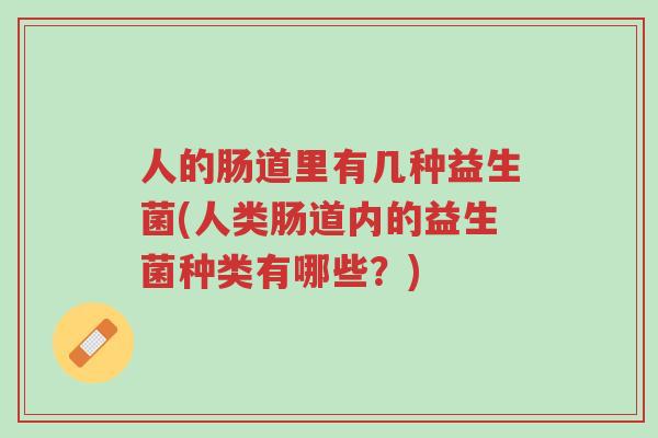 人的肠道里有几种益生菌(人类肠道内的益生菌种类有哪些?)-第1张图片-超越 人的肠道里有几种益生菌(人类肠道内的益生菌种类有哪些?)-第1张图片-超越