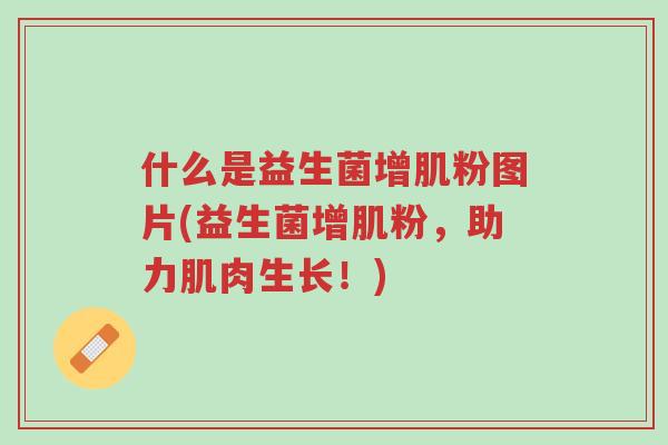 什么是益生菌增肌粉图片(益生菌增肌粉,助力肌肉生长!)-第1张图片-超越 什么是益生菌增肌粉图片(益生菌增肌粉,助力肌肉生长!)-第1张图片-超越