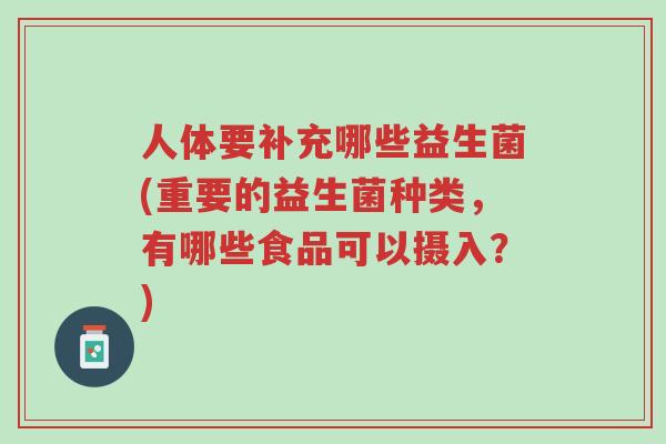 人体要补充哪些益生菌(重要的益生菌种类,有哪些食品可以摄入?)-第1张图片-超越 人体要补充哪些益生菌(重要的益生菌种类,有哪些食品可以摄入?)-第1张图片-超越