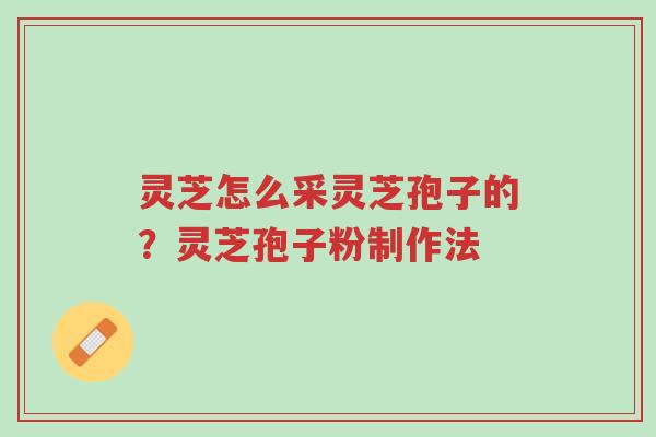 灵芝怎么采灵芝孢子的?灵芝孢子粉制作法-第1张图片-超越 灵芝怎么采灵芝孢子的?灵芝孢子粉制作法-第1张图片-超越