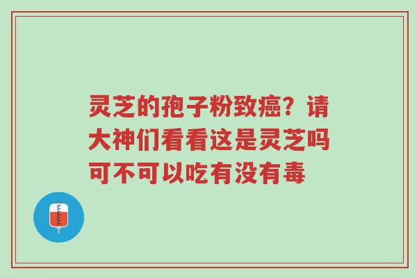 灵芝的孢子粉致癌?请大神们看看这是灵芝吗可不可以吃有没有毒-第1张图片-超越 灵芝的孢子粉致癌?请大神们看看这是灵芝吗可不可以吃有没有毒-第1张图片-超越