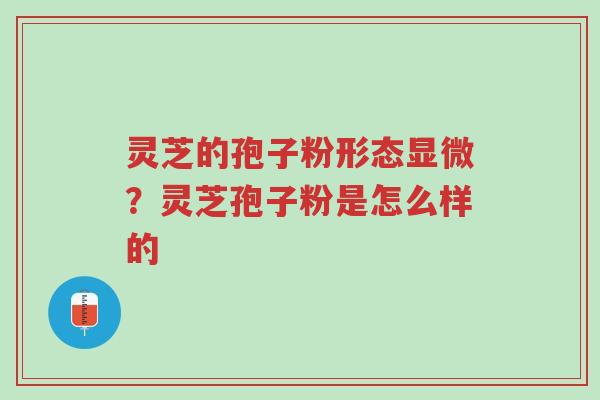 灵芝的孢子粉形态显微?灵芝孢子粉是怎么样的-第1张图片-超越 灵芝的孢子粉形态显微?灵芝孢子粉是怎么样的-第1张图片-超越