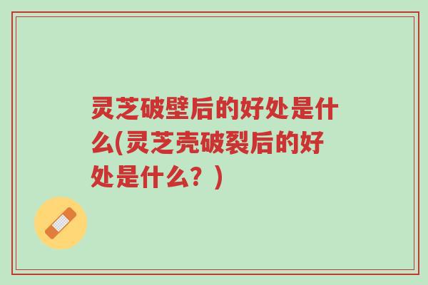 灵芝破壁后的好处是什么(灵芝壳破裂后的好处是什么?)-第1张图片-超越 灵芝破壁后的好处是什么(灵芝壳破裂后的好处是什么?)-第1张图片-超越