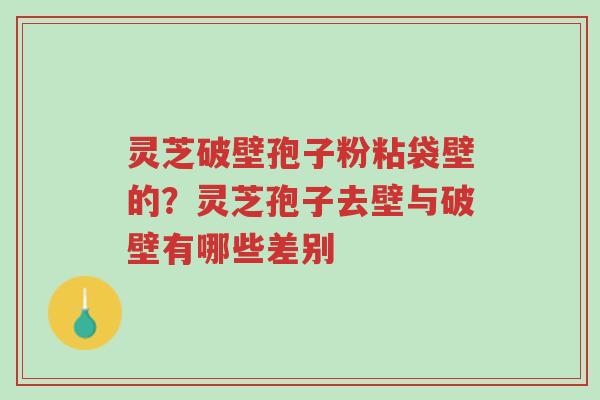 灵芝破壁孢子粉粘袋壁的？灵芝孢子去壁与破壁有哪些差别-第1张图片-超越