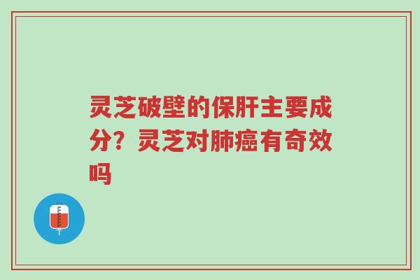 灵芝破壁的保肝主要成分?灵芝对肺癌有奇效吗-第1张图片-超越 灵芝破壁的保肝主要成分?灵芝对肺癌有奇效吗-第1张图片-超越