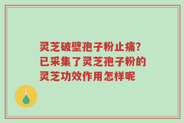灵芝破壁孢子粉止痛?已采集了灵芝孢子粉的灵芝功效作用怎样呢-第1张图片-超越 灵芝破壁孢子粉止痛?已采集了灵芝孢子粉的灵芝功效作用怎样呢-第1张图片-超越