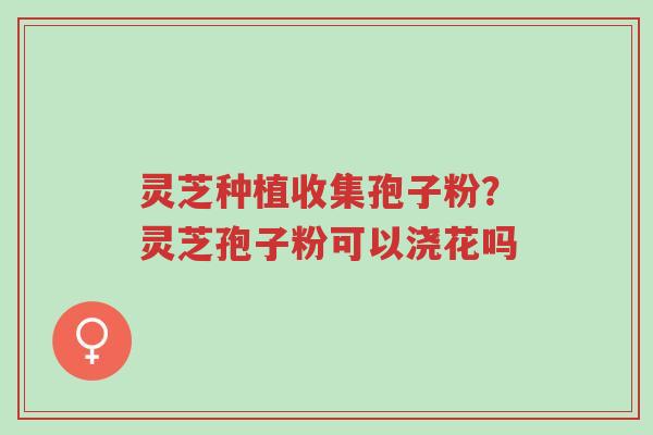 灵芝种植收集孢子粉?灵芝孢子粉可以浇花吗-第1张图片-超越 灵芝种植收集孢子粉?灵芝孢子粉可以浇花吗-第1张图片-超越