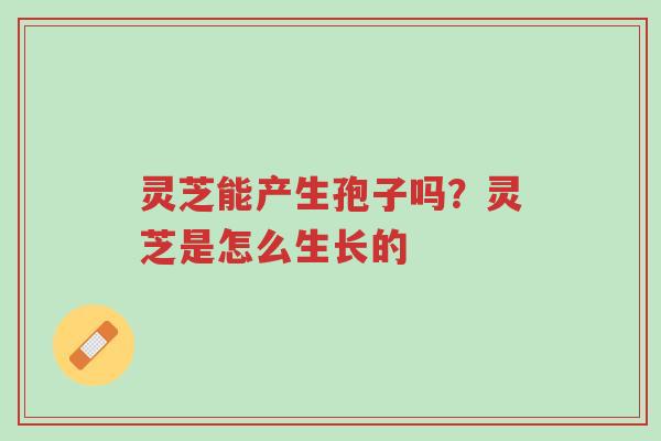 灵芝能产生孢子吗?灵芝是怎么生长的-第1张图片-超越 灵芝能产生孢子吗?灵芝是怎么生长的-第1张图片-超越