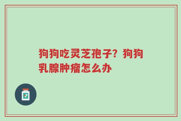 狗狗吃灵芝孢子?狗狗乳腺肿瘤怎么办-第1张图片-超越 狗狗吃灵芝孢子?狗狗乳腺肿瘤怎么办-第1张图片-超越