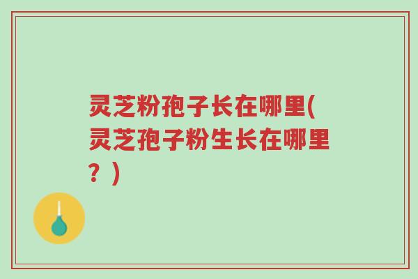 灵芝粉孢子长在哪里(灵芝孢子粉生长在哪里?)-第1张图片-超越 灵芝粉孢子长在哪里(灵芝孢子粉生长在哪里?)-第1张图片-超越