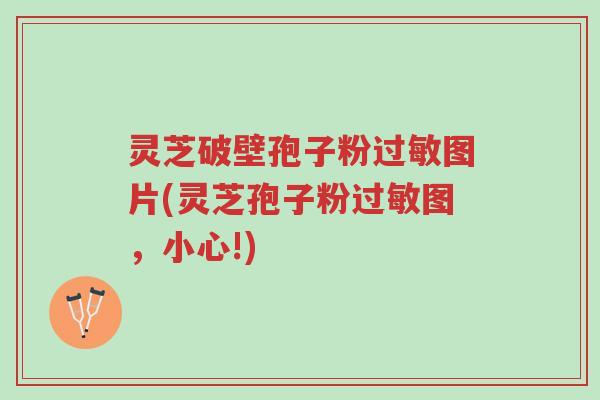 灵芝破壁孢子粉过敏图片(灵芝孢子粉过敏图,小心!)-第1张图片-超越 灵芝破壁孢子粉过敏图片(灵芝孢子粉过敏图,小心!)-第1张图片-超越