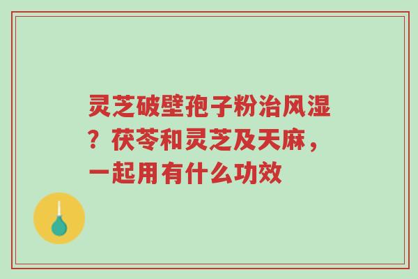 灵芝破壁孢子粉治风湿?茯苓和灵芝及天麻,一起用有什么功效-第1张图片-超越 灵芝破壁孢子粉治风湿?茯苓和灵芝及天麻,一起用有什么功效-第1张图片-超越
