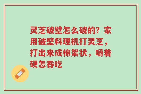 灵芝破壁怎么破的?家用破壁料理机打灵芝,打出来成棉絮状,嚼着硬怎吞吃-第1张图片-超越 灵芝破壁怎么破的?家用破壁料理机打灵芝,打出来成棉絮状,嚼着硬怎吞吃-第1张图片-超越