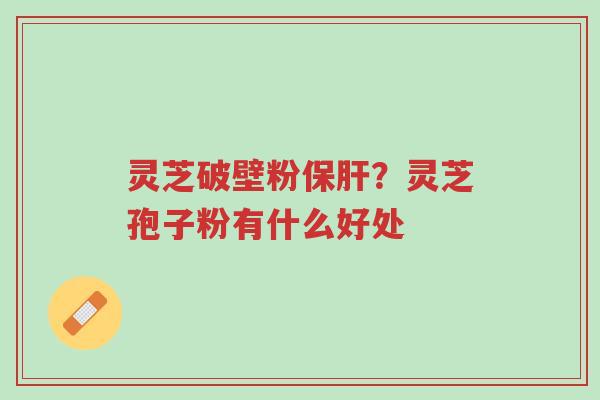 灵芝破壁粉保肝？灵芝孢子粉有什么好处-第1张图片-超越