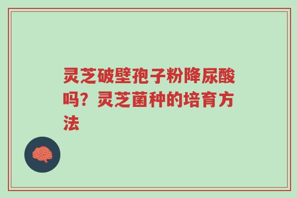灵芝破壁孢子粉降尿酸吗?灵芝菌种的培育方法-第1张图片-超越 灵芝破壁孢子粉降尿酸吗?灵芝菌种的培育方法-第1张图片-超越