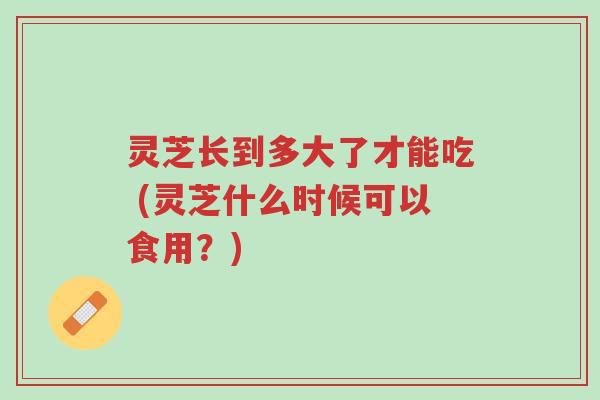灵芝长到多大了才能吃 (灵芝什么时候可以食用?)-第1张图片-超越 灵芝长到多大了才能吃 (灵芝什么时候可以食用?)-第1张图片-超越
