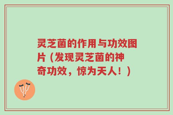灵芝菌的作用与功效图片 (发现灵芝菌的神奇功效,惊为天人!)-第1张图片-超越 灵芝菌的作用与功效图片 (发现灵芝菌的神奇功效,惊为天人!)-第1张图片-超越