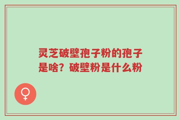 灵芝破壁孢子粉的孢子是啥?破壁粉是什么粉-第1张图片-超越 灵芝破壁孢子粉的孢子是啥?破壁粉是什么粉-第1张图片-超越