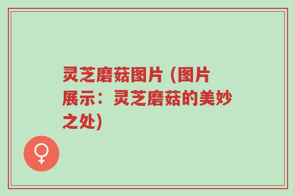 灵芝磨菇图片 (图片展示:灵芝磨菇的美妙之处)-第1张图片-超越 灵芝磨菇图片 (图片展示:灵芝磨菇的美妙之处)-第1张图片-超越