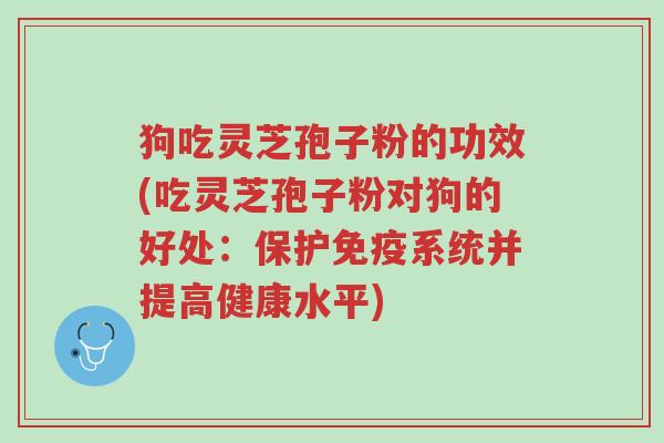 狗吃灵芝孢子粉的功效(吃灵芝孢子粉对狗的好处:保护免疫系统并提高健康水平)-第1张图片-超越 狗吃灵芝孢子粉的功效(吃灵芝孢子粉对狗的好处:保护免疫系统并提高健康水平)-第1张图片-超越