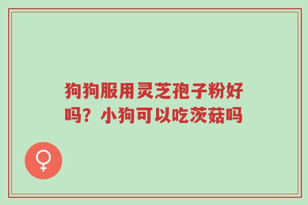 狗狗服用灵芝孢子粉好吗?小狗可以吃茨菇吗-第1张图片-超越 狗狗服用灵芝孢子粉好吗?小狗可以吃茨菇吗-第1张图片-超越