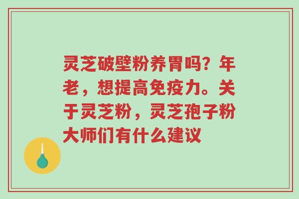 灵芝破壁粉养胃吗?年老,想提高免疫力。关于灵芝粉,灵芝孢子粉大师们有什么建议-第1张图片-超越 灵芝破壁粉养胃吗?年老,想提高免疫力。关于灵芝粉,灵芝孢子粉大师们有什么建议-第1张图片-超越