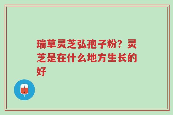 瑞草灵芝弘孢子粉?灵芝是在什么地方生长的好-第1张图片-超越 瑞草灵芝弘孢子粉?灵芝是在什么地方生长的好-第1张图片-超越