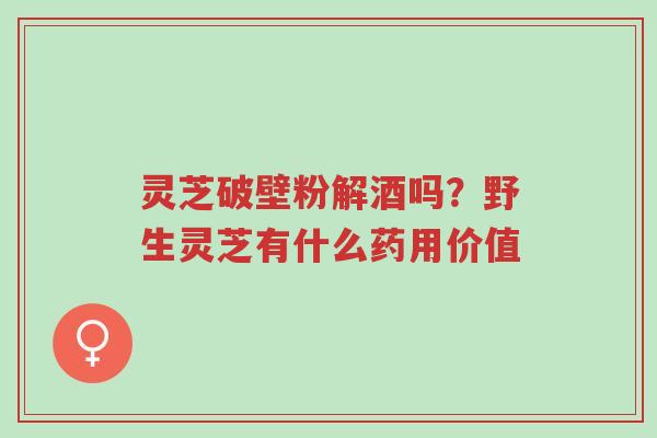 灵芝破壁粉解酒吗？野生灵芝有什么药用价值-第1张图片-超越