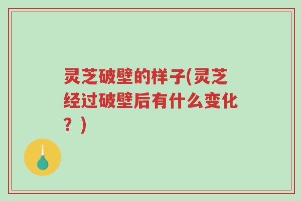 灵芝破壁的样子(灵芝经过破壁后有什么变化？)-第1张图片-超越