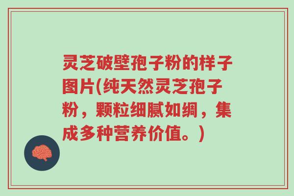 灵芝破壁孢子粉的样子图片(纯天然灵芝孢子粉,颗粒细腻如绸,集成多种营养价值。)-第1张图片-超越 灵芝破壁孢子粉的样子图片(纯天然灵芝孢子粉,颗粒细腻如绸,集成多种营养价值。)-第1张图片-超越