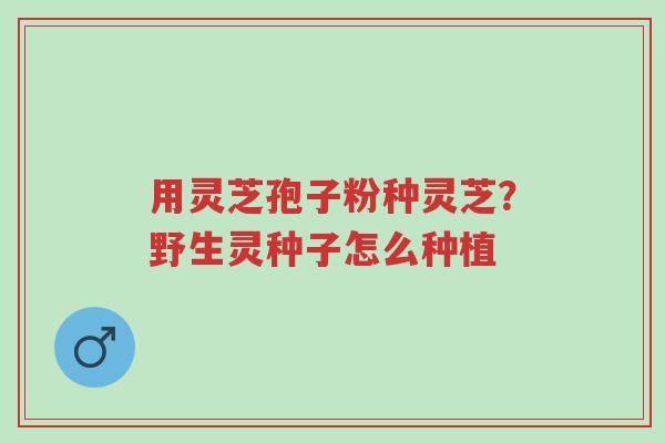 用灵芝孢子粉种灵芝?野生灵种子怎么种植-第1张图片-超越 用灵芝孢子粉种灵芝?野生灵种子怎么种植-第1张图片-超越